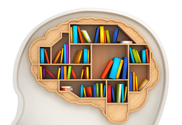 Wooden Brain Bookshelf